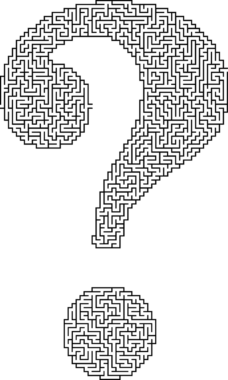 a question mark in the middle of a maze, a raytraced image, by Andrei Kolkoutine, ascii art, roguelike, find the hidden object, high quality image”, portrait image