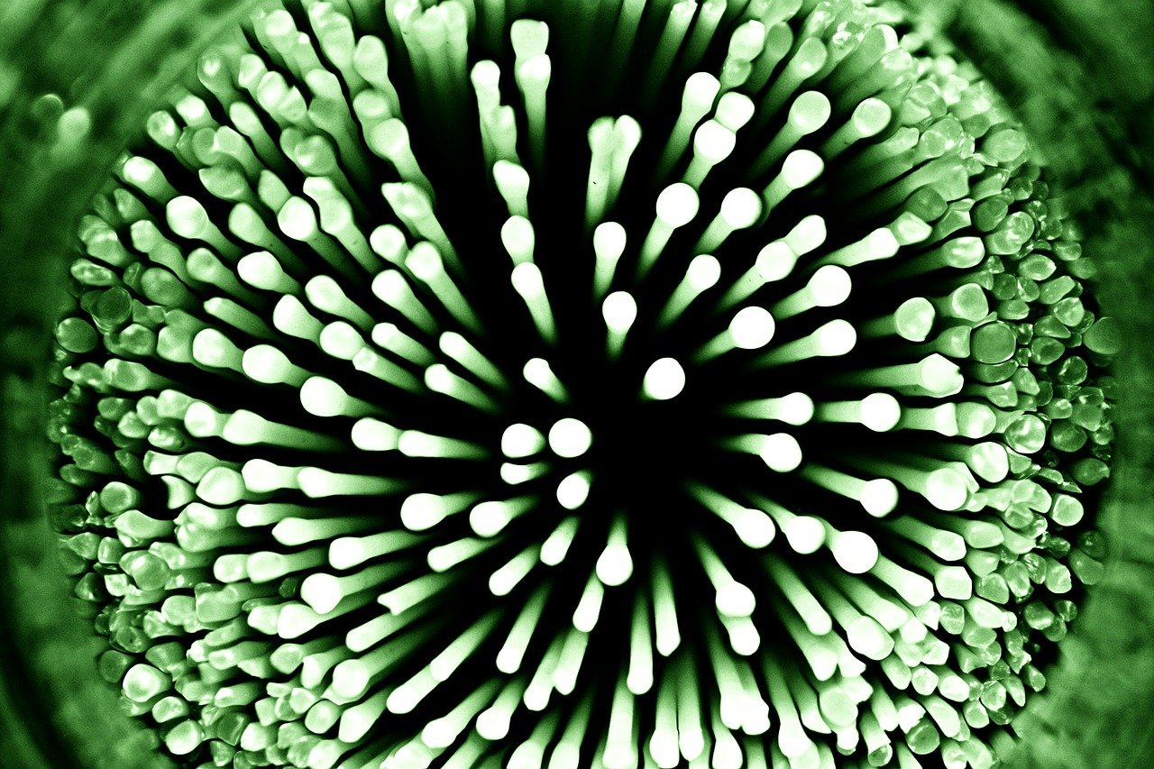 a close up of a bunch of toothbrushes in a cup, a microscopic photo, inspired by Bruce Munro, rasquache, green eyes. high contrast lines, anemone, green fire, macro 8mm photo