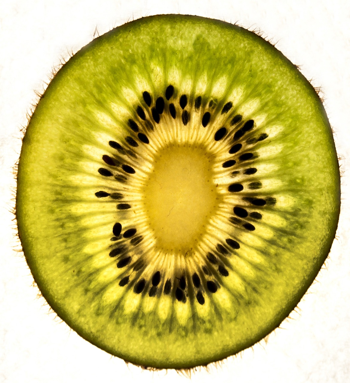 a close up of a kiwi fruit cut in half, a macro photograph, flickr, hurufiyya, light micrograph, 2 0 1 0 photo, 3 0 0, bottom - view