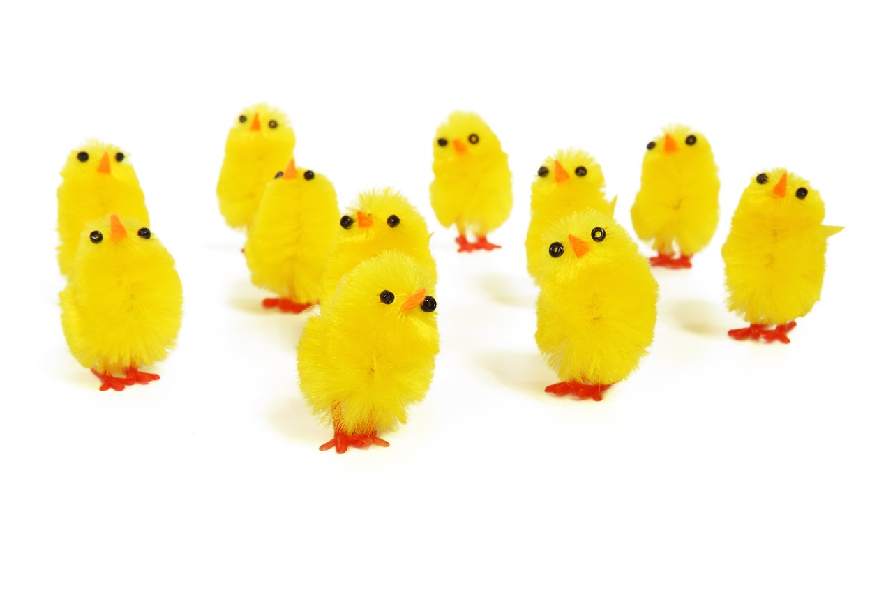 a group of small yellow chicks standing next to each other, renaissance, istockphoto, toy photo, highkey, springs