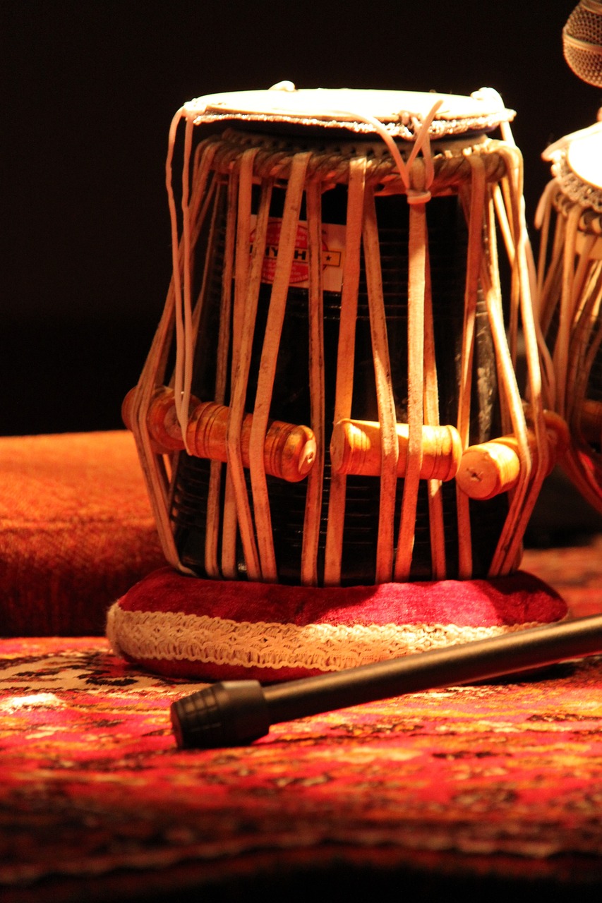 a musical instrument sitting on top of a table, by Manjit Bawa, flickr, hurufiyya, cane, highly detaile, webbing, drummer