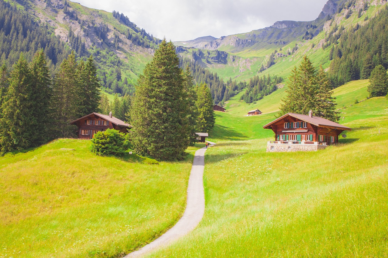 a couple of cabins sitting on top of a lush green hillside, by Werner Andermatt, shutterstock, beautiful house on a forest path, switzerland, beautiful pine tree landscape, fey