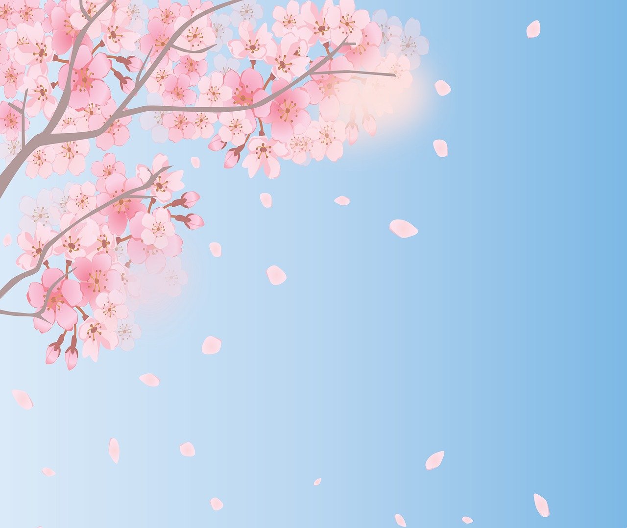 a tree with pink flowers blowing in the wind, an illustration of, trending on pixabay, sōsaku hanga, light blue clear sky, flowing sakura-colored silk, full view blank background, there is one cherry