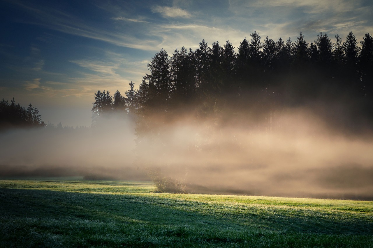 a red fire hydrant sitting on top of a lush green field, a picture, by Sebastian Spreng, shutterstock, romanticism, blankets of fog pockets, forest in the morning light, landscape wallpaper, on a clearing