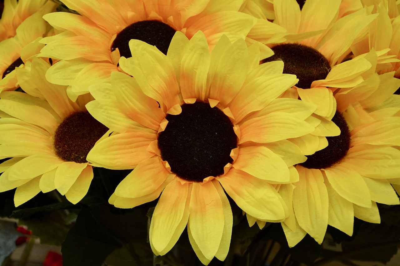 a bunch of yellow sunflowers in a vase, a photo, pixabay, realism, close-up product photo, highly detailed product photo, foam, yellow-orange
