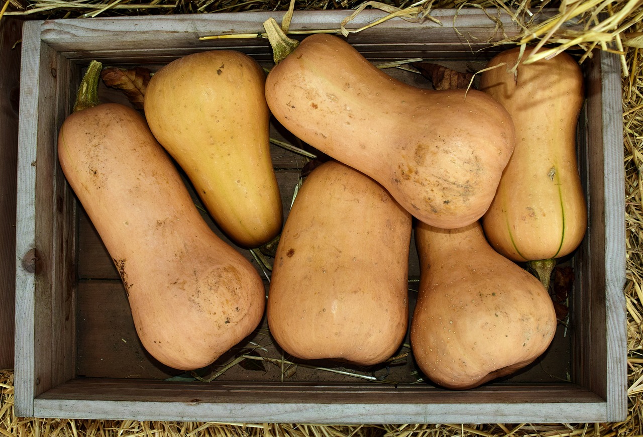 a wooden box filled with lots of different types of squash, by David Garner, pixabay, art nouveau, big pear-shaped head, bird's eye view, 2 1 0 mm, square