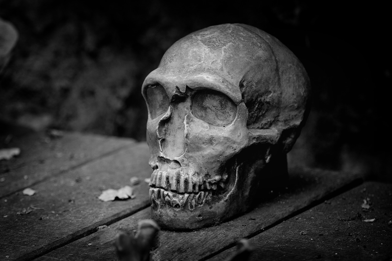 a skull sitting on top of a wooden table, a black and white photo, by Alexander Fedosav, pexels contest winner, roman nose, clay model, tales from the crypt, hidden