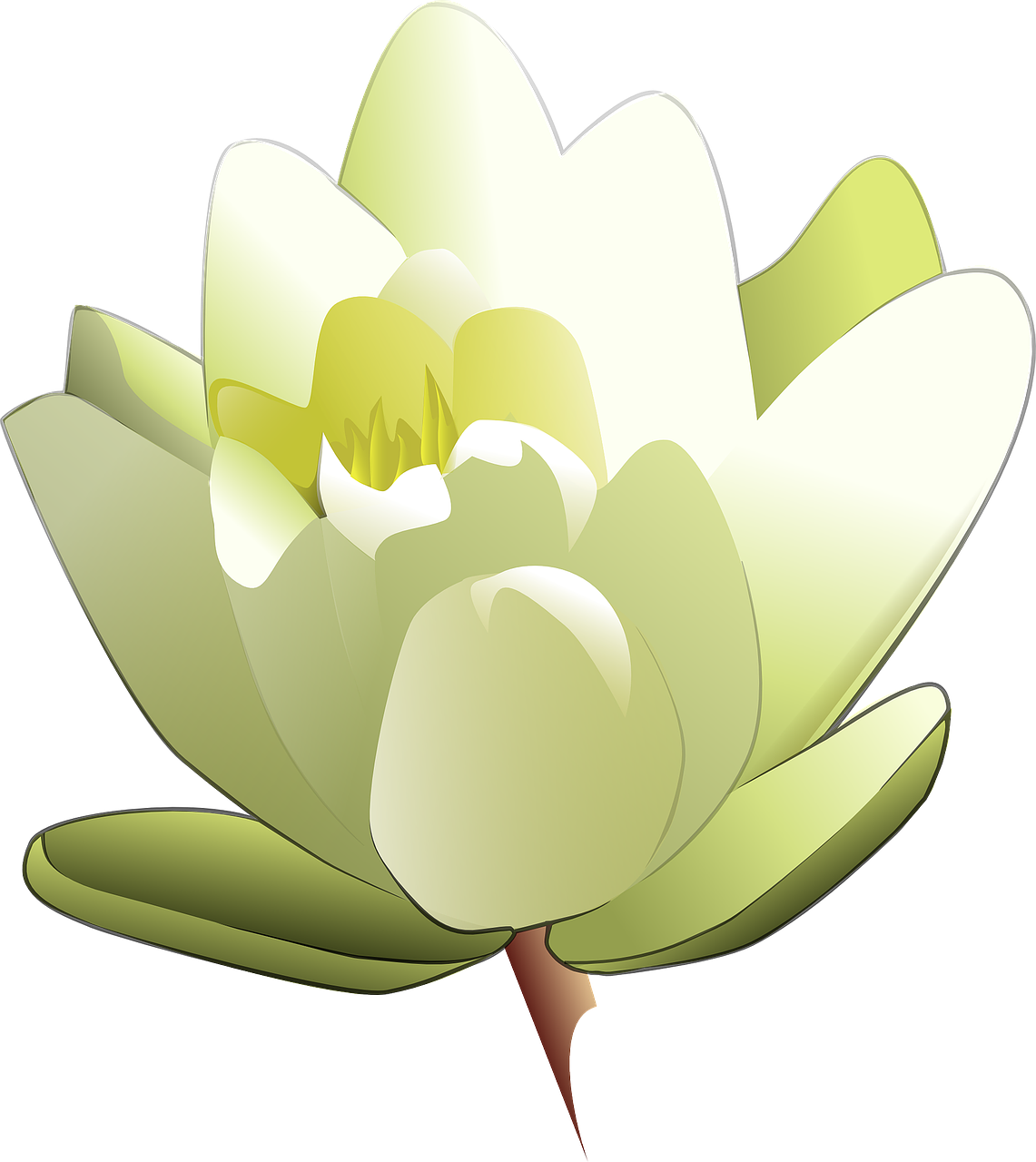 a white lotus flower on a black background, a digital painting, inspired by Masamitsu Ōta, pixabay, hurufiyya, wikihow illustration, painted pale yellow and green, isometric view, full color illustration