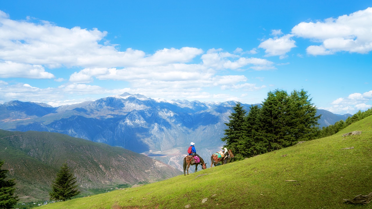 a couple of people riding on the backs of horses, a stock photo, by Werner Andermatt, shutterstock, sichuan, lush vista, bright summer day, sweeping vista