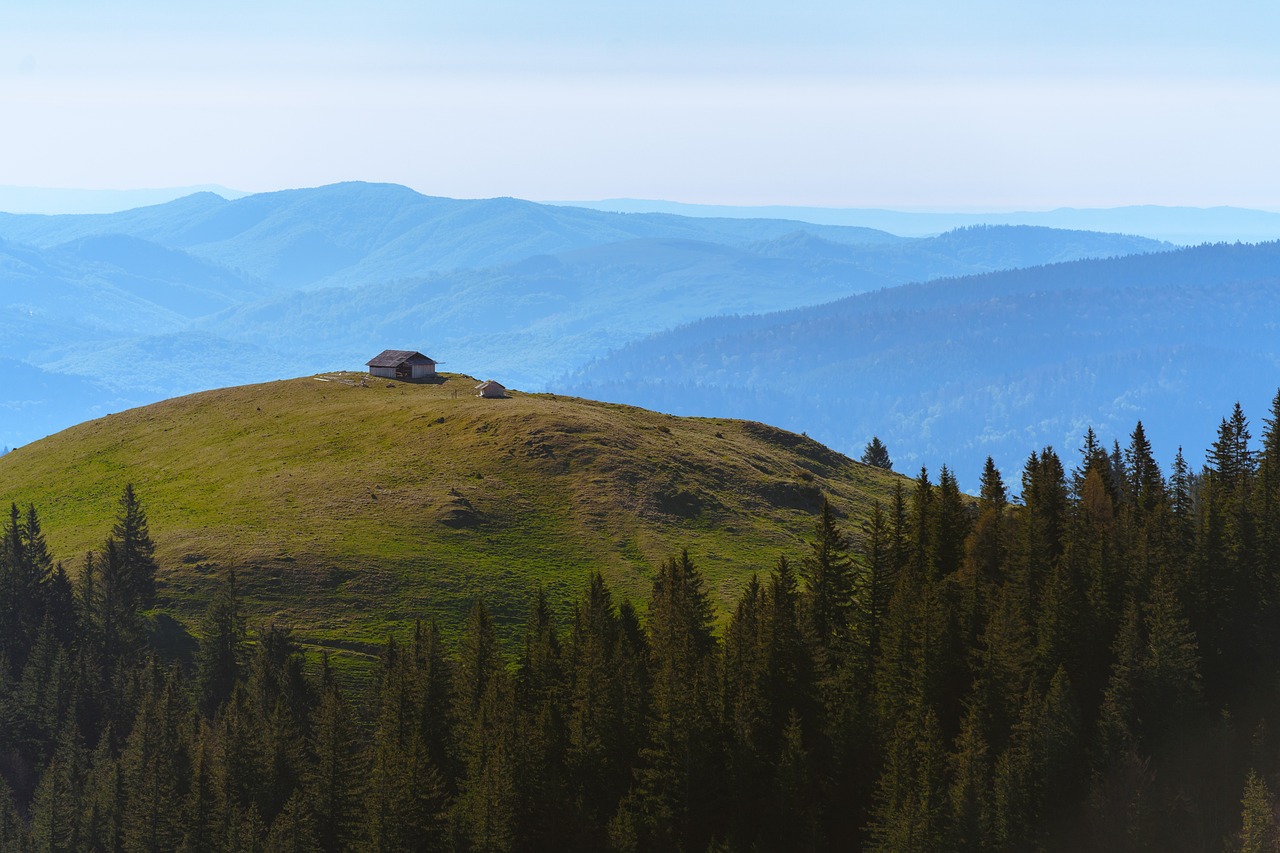 a small house sitting on top of a green hill, by Aleksander Gierymski, shutterstock, sparse pine forest, carpathian mountains, panorama distant view, stock photo