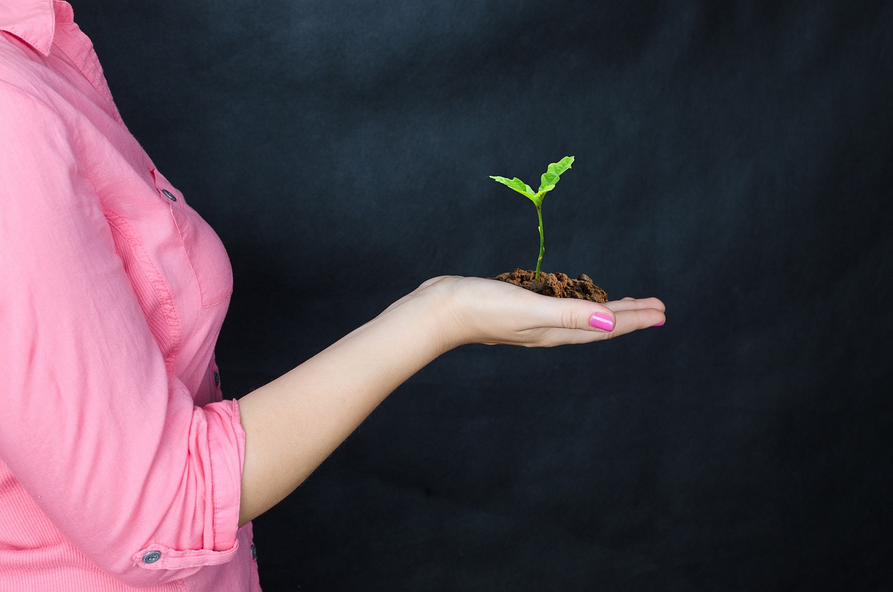 a woman holding a small plant in her hand, a stock photo, by Juan O'Gorman, pixabay, on black paper, high res photo, petite girl, stacked image