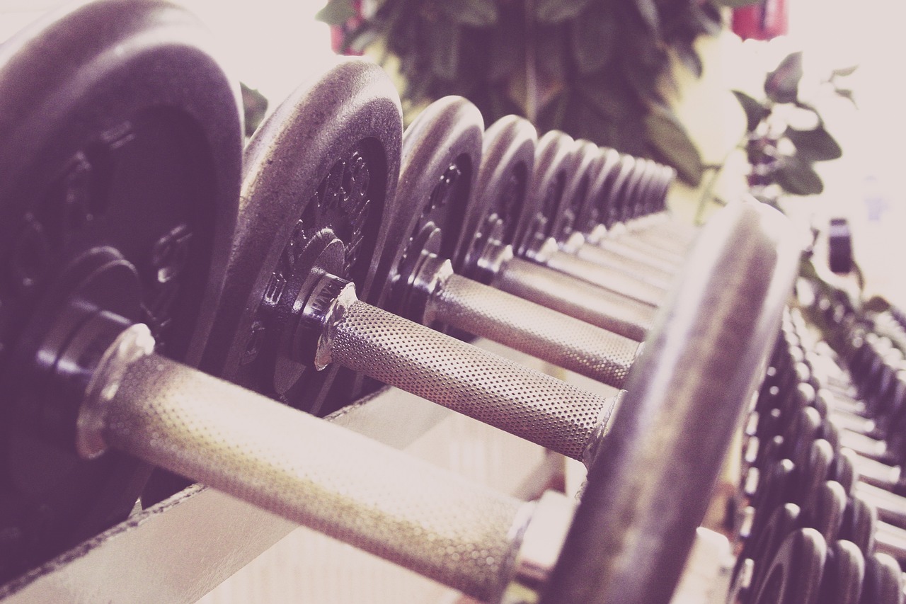 a row of dumbbells sitting next to each other, a photo, by Christen Dalsgaard, retro effect, piping, working out, low angle photo