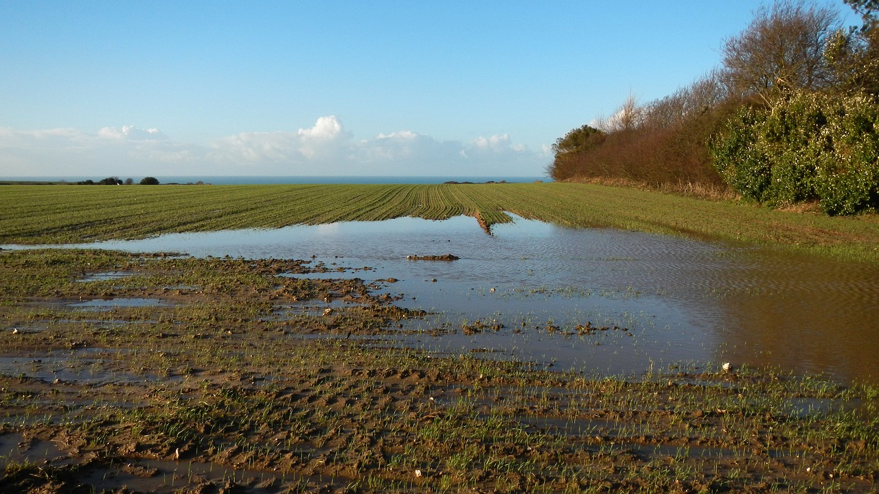 a large puddle of water in the middle of a field, by Bob Ringwood, flickr, the sea in the background, high damage, hedge, slick!!