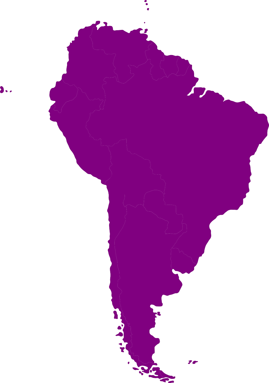 a purple map of south america on a white background, an illustration of, rasquache, dark. no text, looking partly to the left, terminal, oscar winning