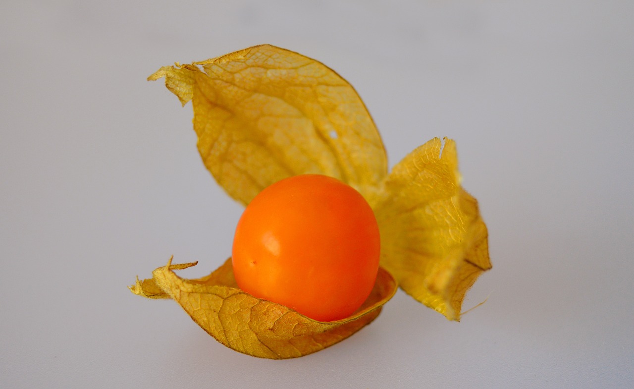 a close up of a fruit on a white surface, by Dietmar Damerau, flickr, in salvia divinorum, orange yellow ethereal, eggs, lantern