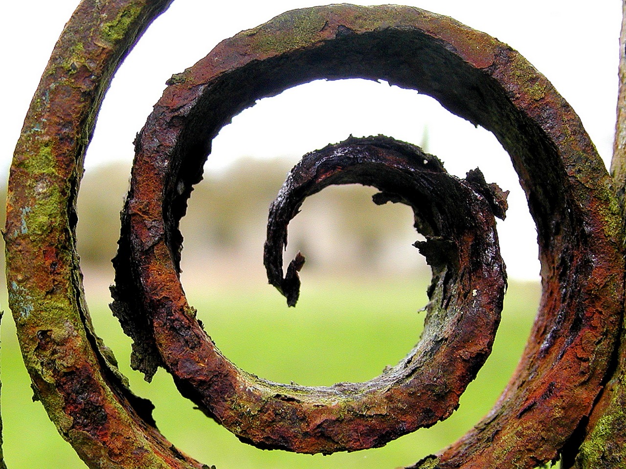 a rusted iron fence with a green field in the background, a macro photograph, by Dave Allsop, flickr, land art, pulled into the spiral vortex, sculpture!!, ancient”, whirlpool