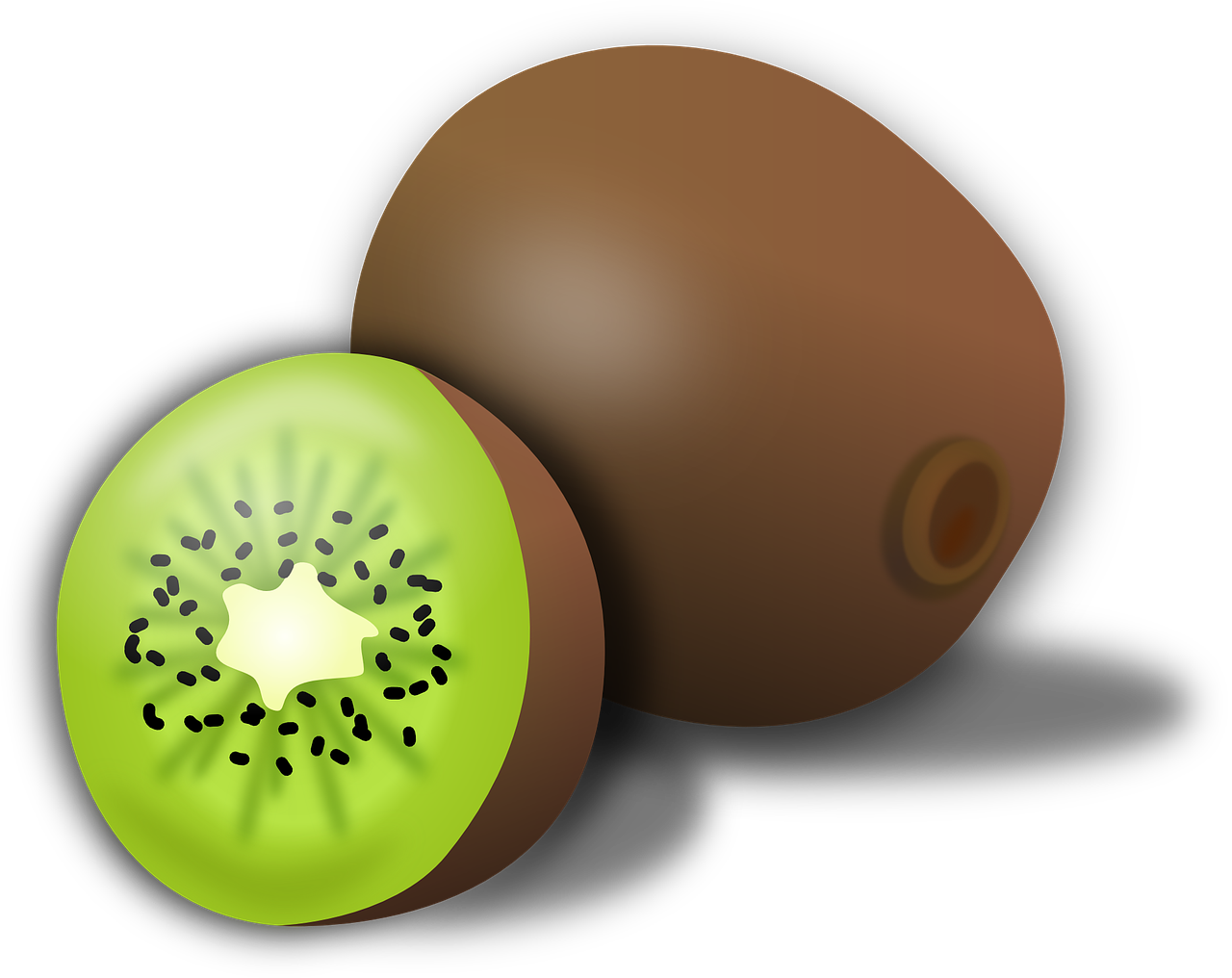 a kiwi fruit cut in half on a black background, an illustration of, hurufiyya, wikihow illustration, no gradients, beans, ( brown skin )