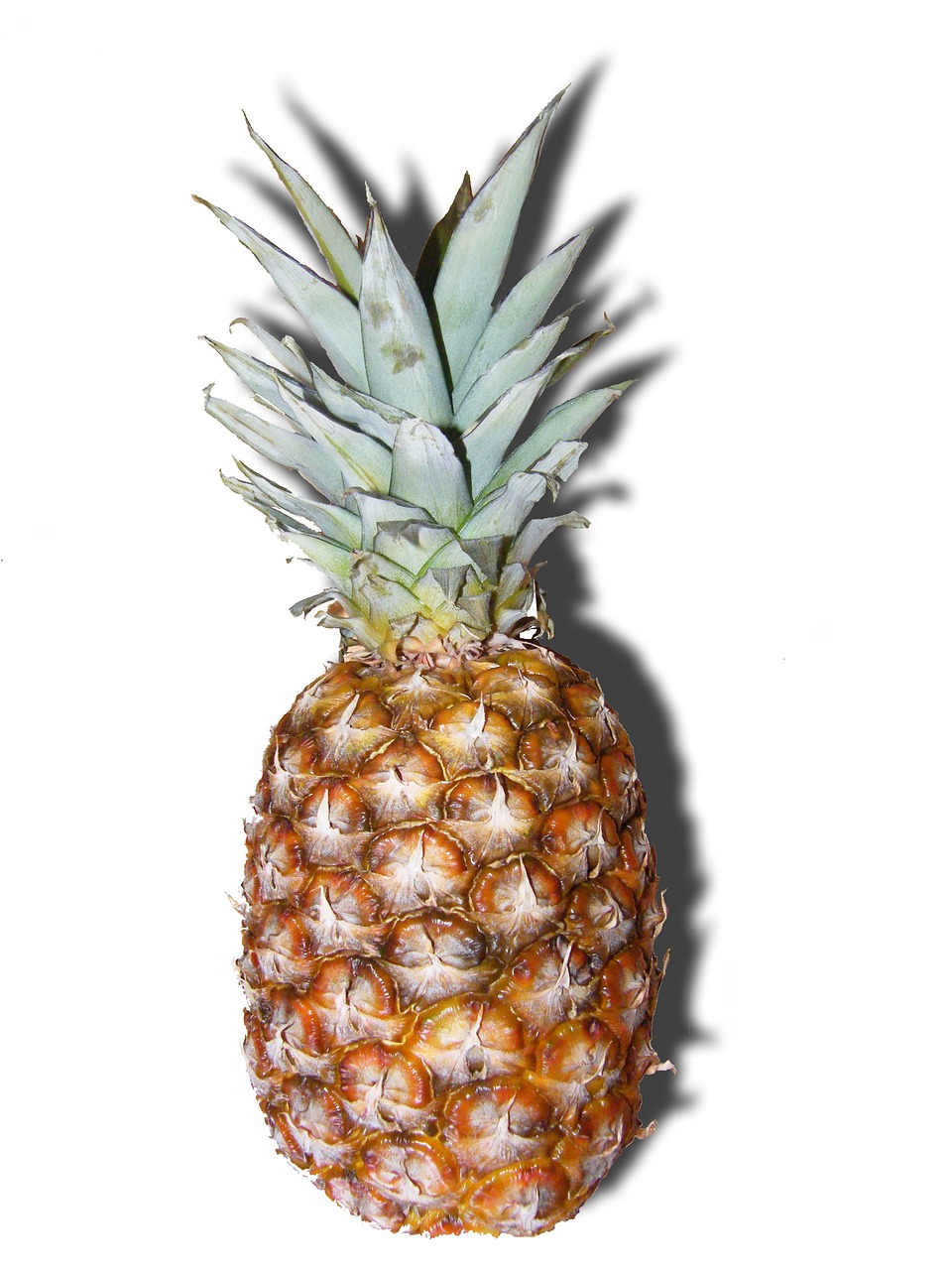 a close up of a pineapple on a white surface, a digital rendering, hurufiyya, photo-shopped, 2 0 0 0's photo, jamaican, full body close-up shot