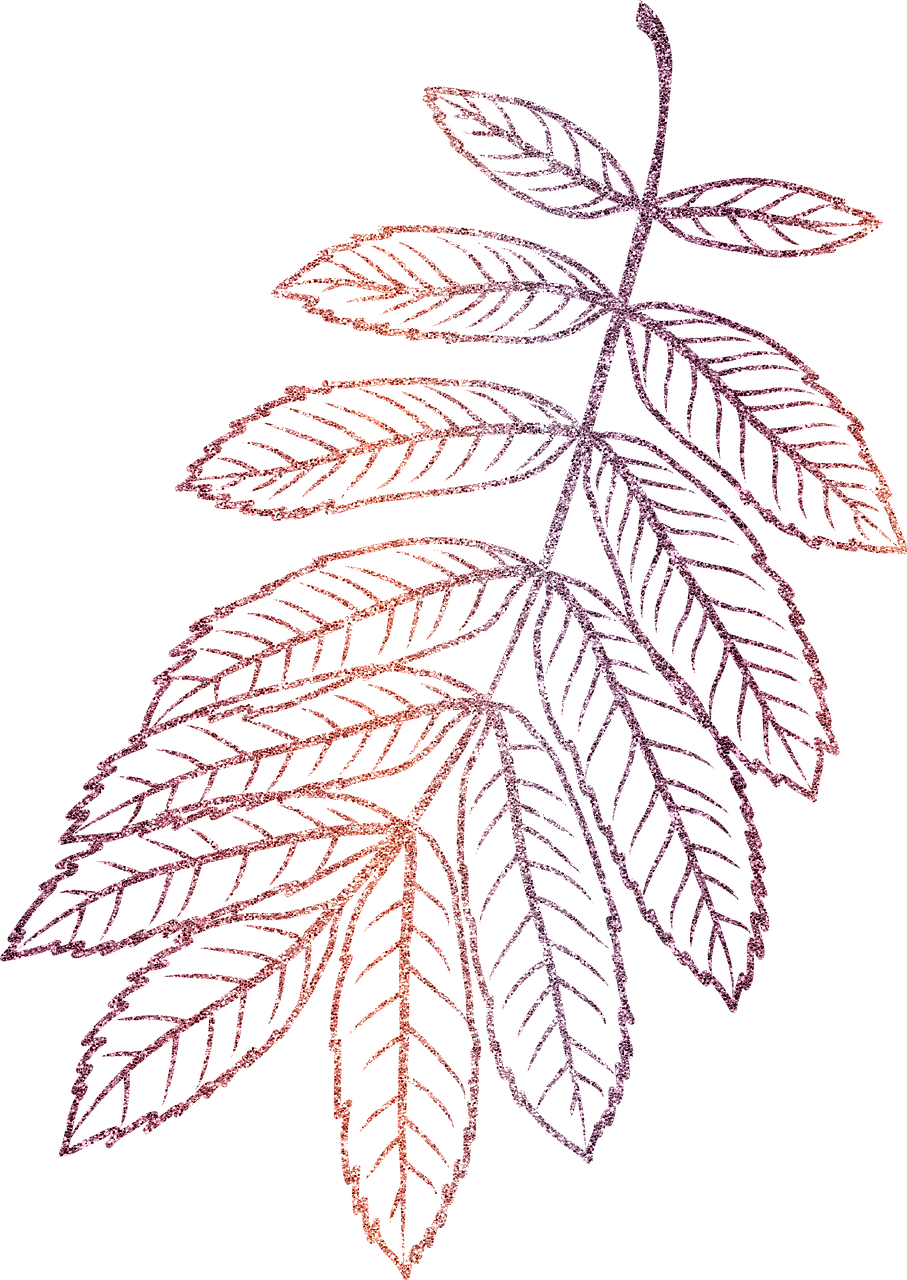 a close up of a leaf on a black background, a digital rendering, inspired by Master of the Embroidered Foliage, kinetic pointillism, stardust gradient scheme, with soft pink colors, engraving illustration, autum