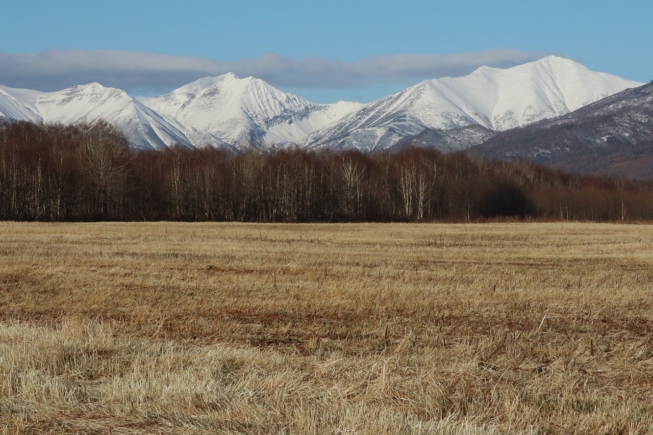 a horse in a field with mountains in the background, inspired by Vladimir Borovikovsky, flickr, land art, birch swamp, aomori japan, empty snow field, 4k high res