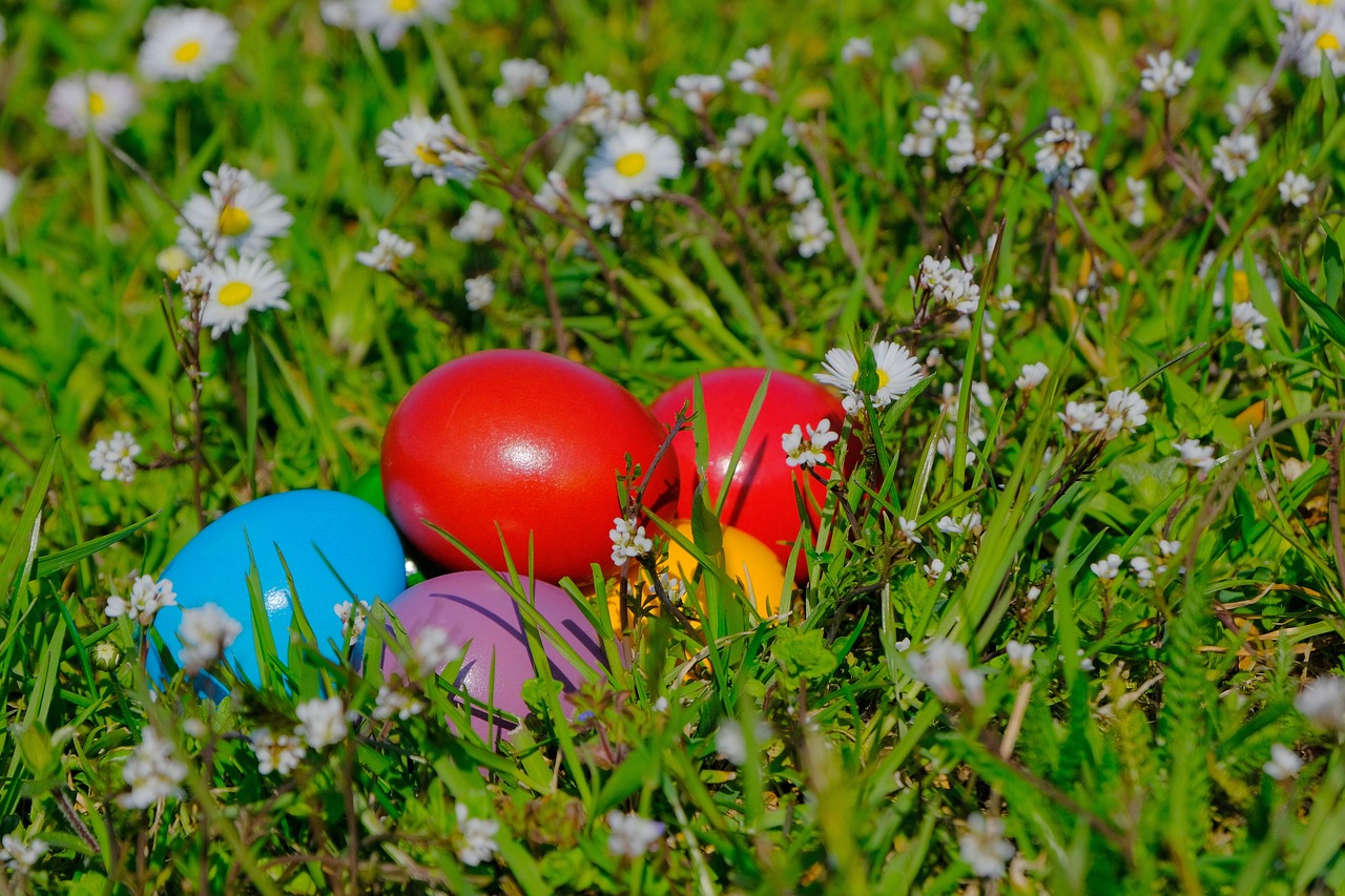 easter eggs in the grass with daisies in the background, a picture, by Stefan Gierowski, shutterstock, color field, bushes in the background, 🕹️ 😎 🔫 🤖 🚬, colours red and green, having fun in the sun