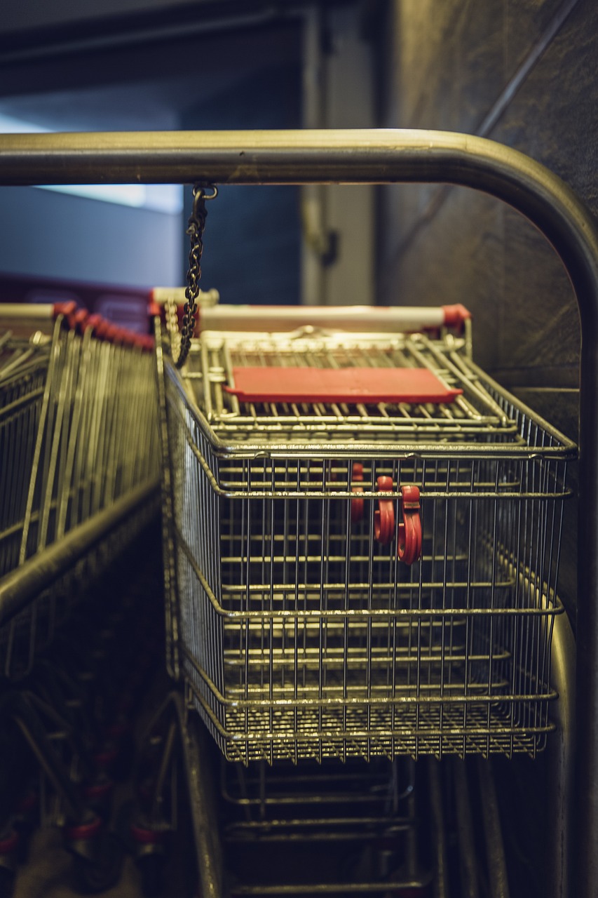 a row of shopping carts sitting next to each other, a picture, by Jakob Gauermann, horror details, indoor shot, nostalgic feeling, very detailed picture