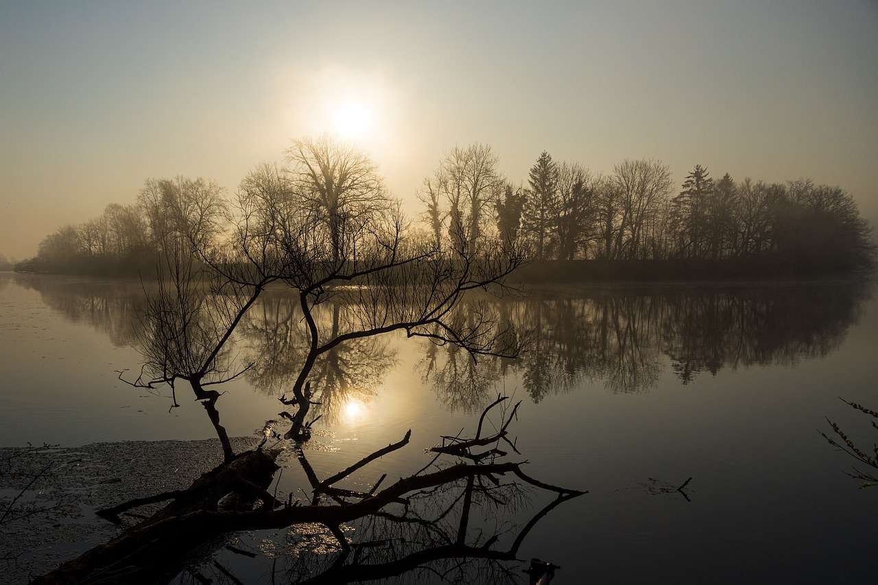 the sun is setting over a body of water, a picture, by Sebastian Spreng, romanticism, winter mist around her, distant knotted branches, reflections on the river, shot on nikon z9