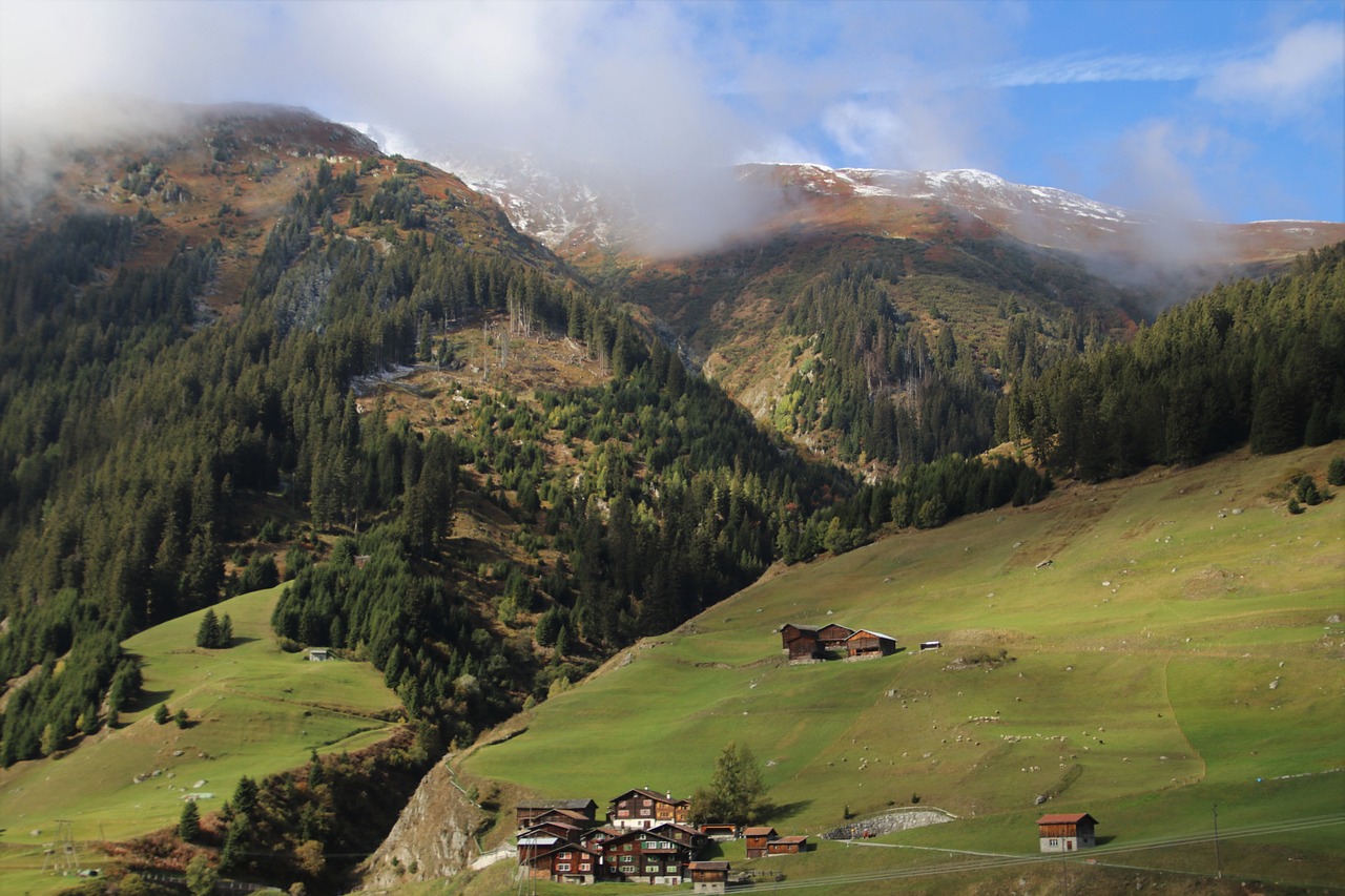 a herd of sheep grazing on top of a lush green hillside, by Werner Andermatt, flickr, log houses built on hills, autumnal, seen from a distance, the see horse valley