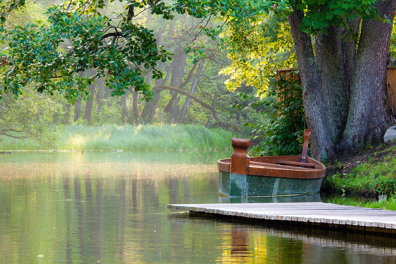 a boat sitting on top of a lake next to a tree, a picture, by Svetlin Velinov, shutterstock, romanticism, in a gentle green dawn light, boat dock, morning detail, in serene forest setting