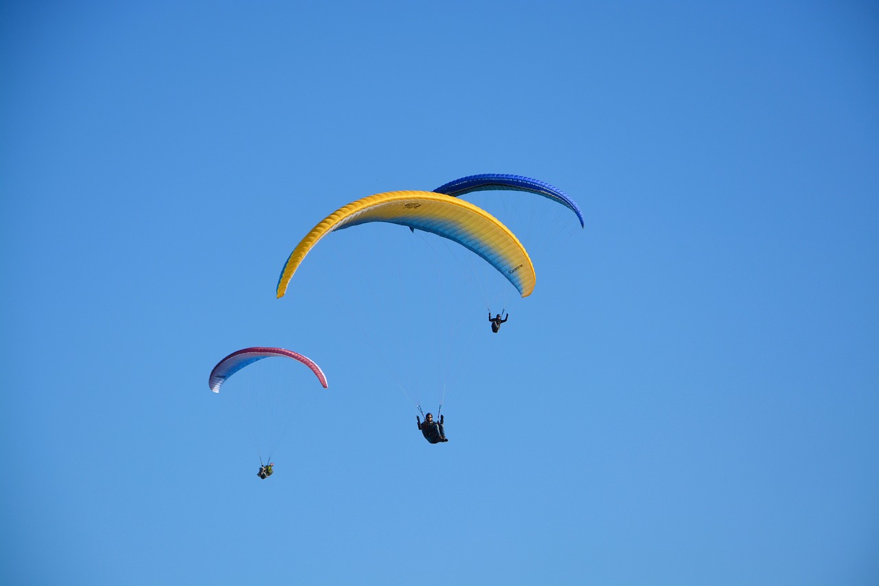 a couple of people that are flying in the sky, a picture, three colors, blue and yellow fauna, 7 0 mm photo, usa-sep 20