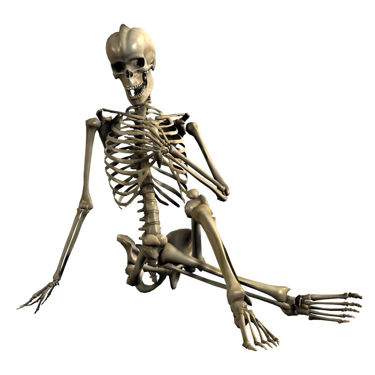 a skeleton sitting on the ground in front of a black background, a digital rendering, massurrealism, full body sarcastic pose, full res, fully body photo