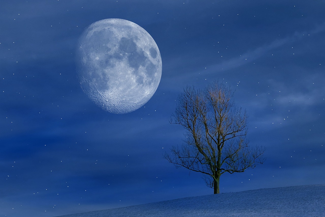 a lone tree on a snowy hill under a full moon, a photo, flickr, romanticism, [[fantasy]], blue moon, perfect-full-shot, 3 0 0