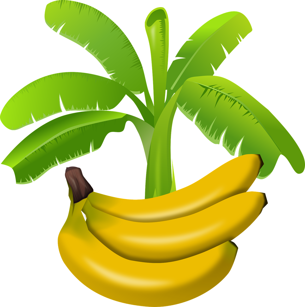 a bunch of bananas sitting on top of a banana tree, a digital rendering, vectorized, high res photo, clip-art, with a black background