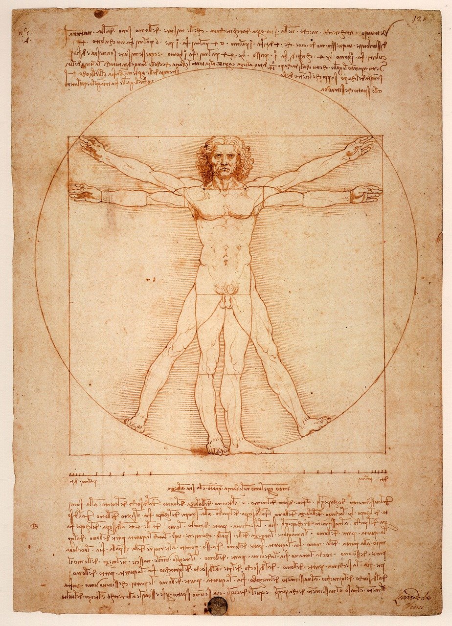 a drawing of a man on a piece of paper, by Leonardo da Vinci, renaissance, symmetrical full body, medical depiction, in the center of the image, slender symmetrical body