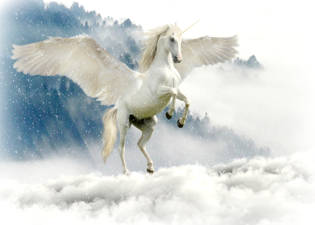 a white horse standing on its hind legs in the snow, an illustration of, pixabay, magical realism, flying above the clouds, a unicorn, large wings, photo - realistic