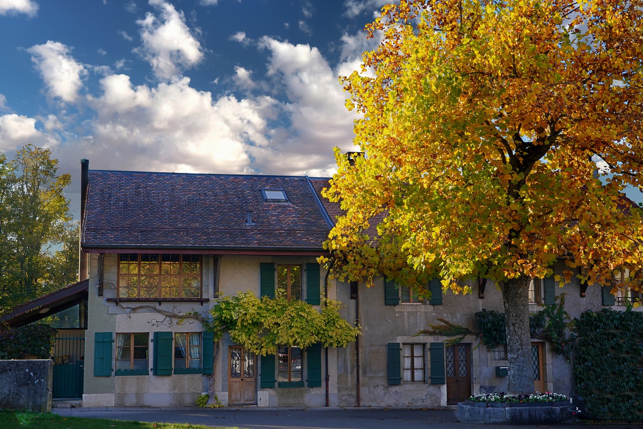a house with a tree in front of it, by Otto Meyer-Amden, pixabay, autum, french village exterior, a green, mann