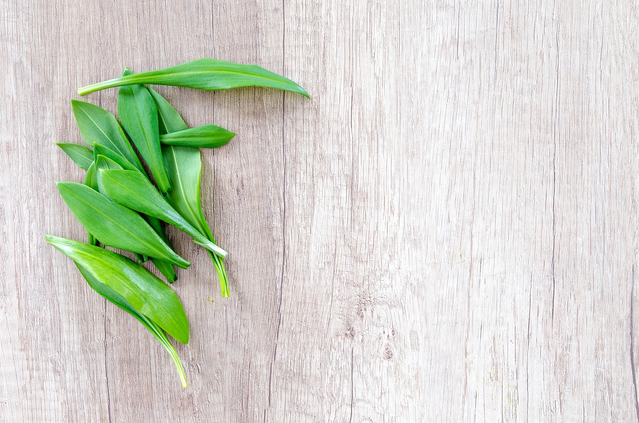 a bunch of green leaves sitting on top of a wooden table, by Richard Carline, lily flowers, background image, ramps, high quality product image”