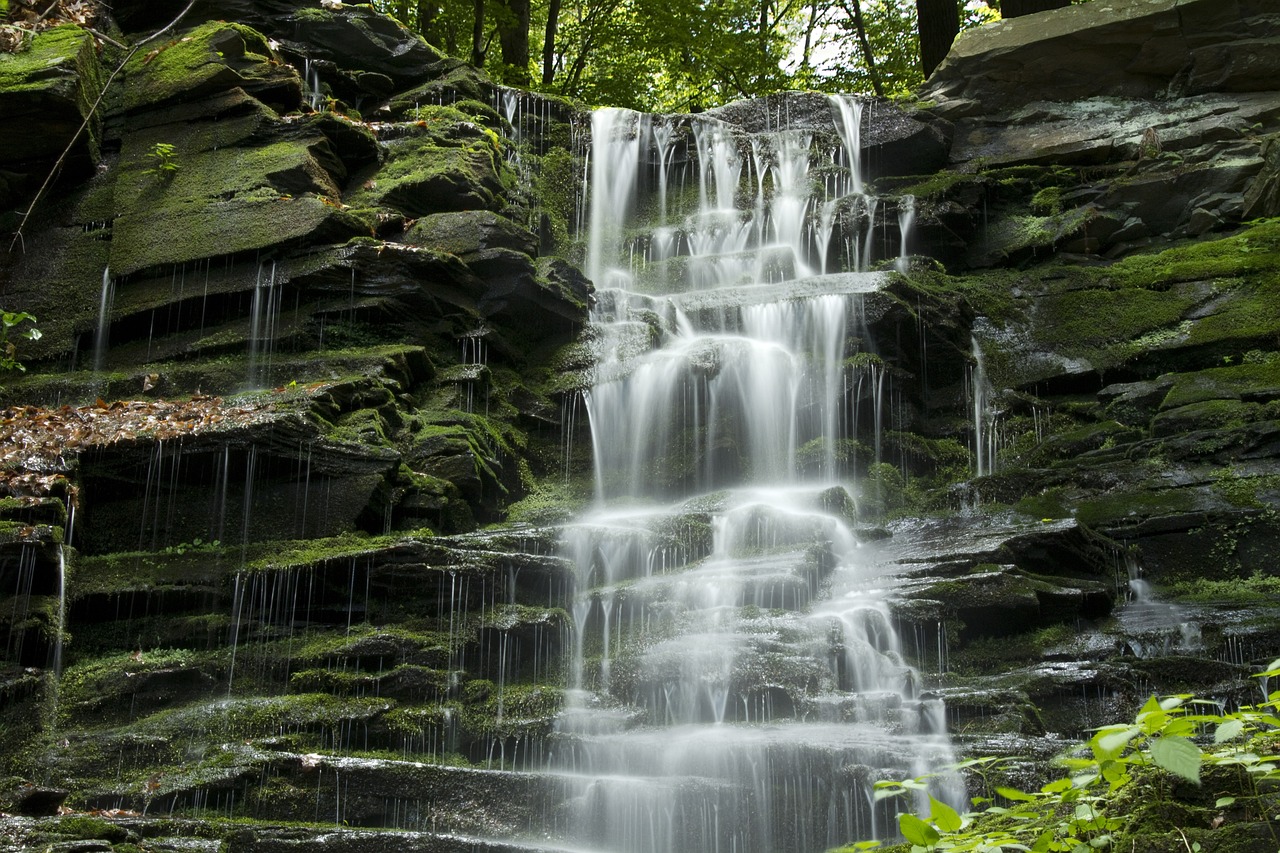 a waterfall in the middle of a lush green forest, by Joseph von Führich, flickr, detmold, [ closeup ]!!, cascading waterfalls, sandfalls