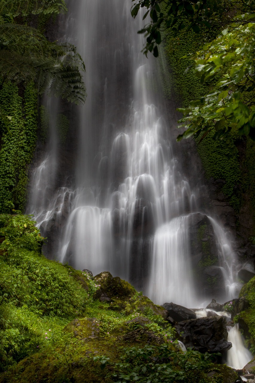 a waterfall in the middle of a lush green forest, by Etienne Delessert, hurufiyya, long exposure photo, # 4 2 0