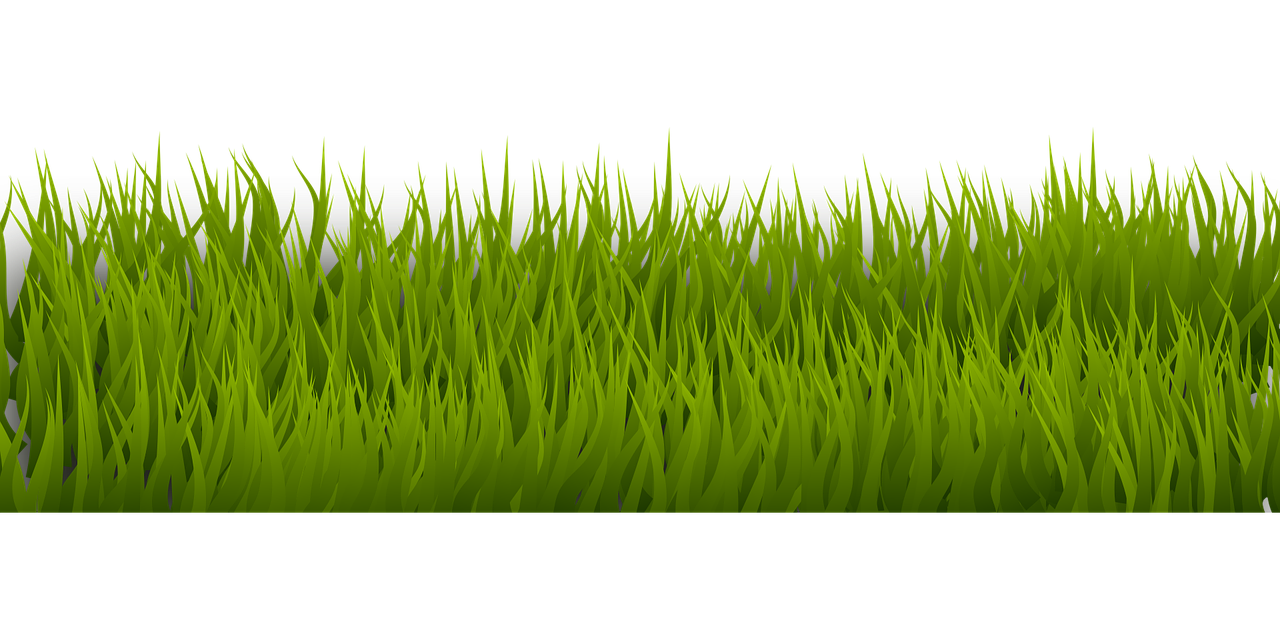 a close up of green grass on a black background, polycount, conceptual art, inside stylized border, seaweed floating, cartoonish and simplistic, 3 0 0 mm
