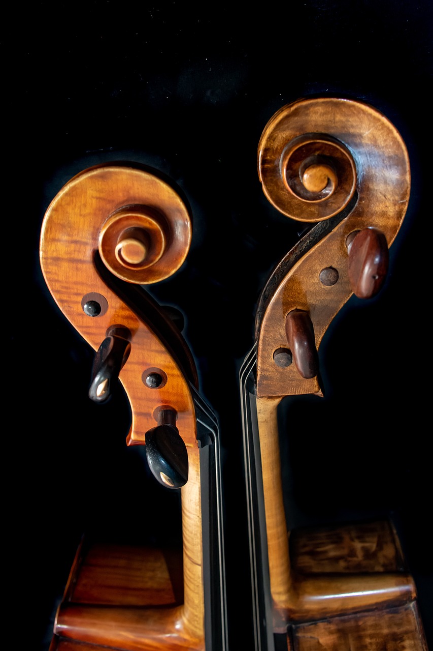 a close up of a violin on a stand, a portrait, flickr, baroque, twins, front and back view, swirly tubes, photo taken in 2018