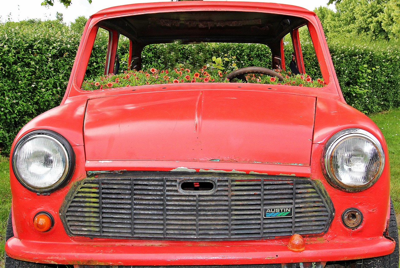 an old red car parked on the side of the road, by Edwin Georgi, flickr, auto-destructive art, flower face, mini model, basil, green bright red