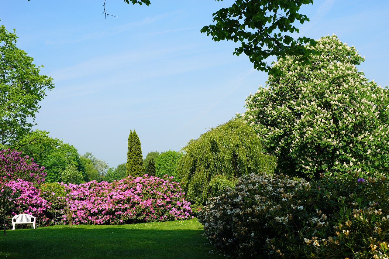 a white bench sitting on top of a lush green field, a photo, spring blooming flowers garden, berlin park, bushes in the foreground, tall purple and pink trees