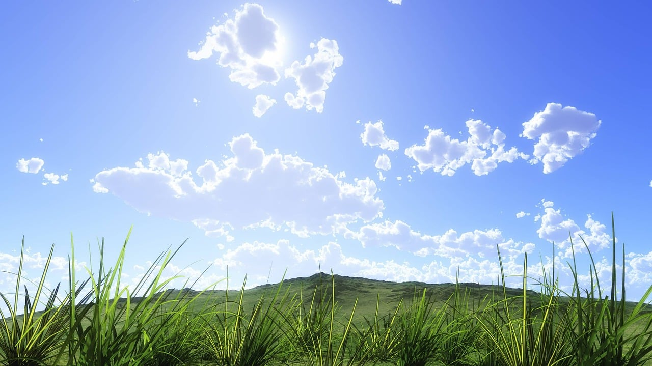 a field of grass with a mountain in the background, a digital rendering, by Kentaro Miura, deviantart, volumetric light clouds, beautifull puffy clouds. anime, close up of lain iwakura, afternoon sunshine