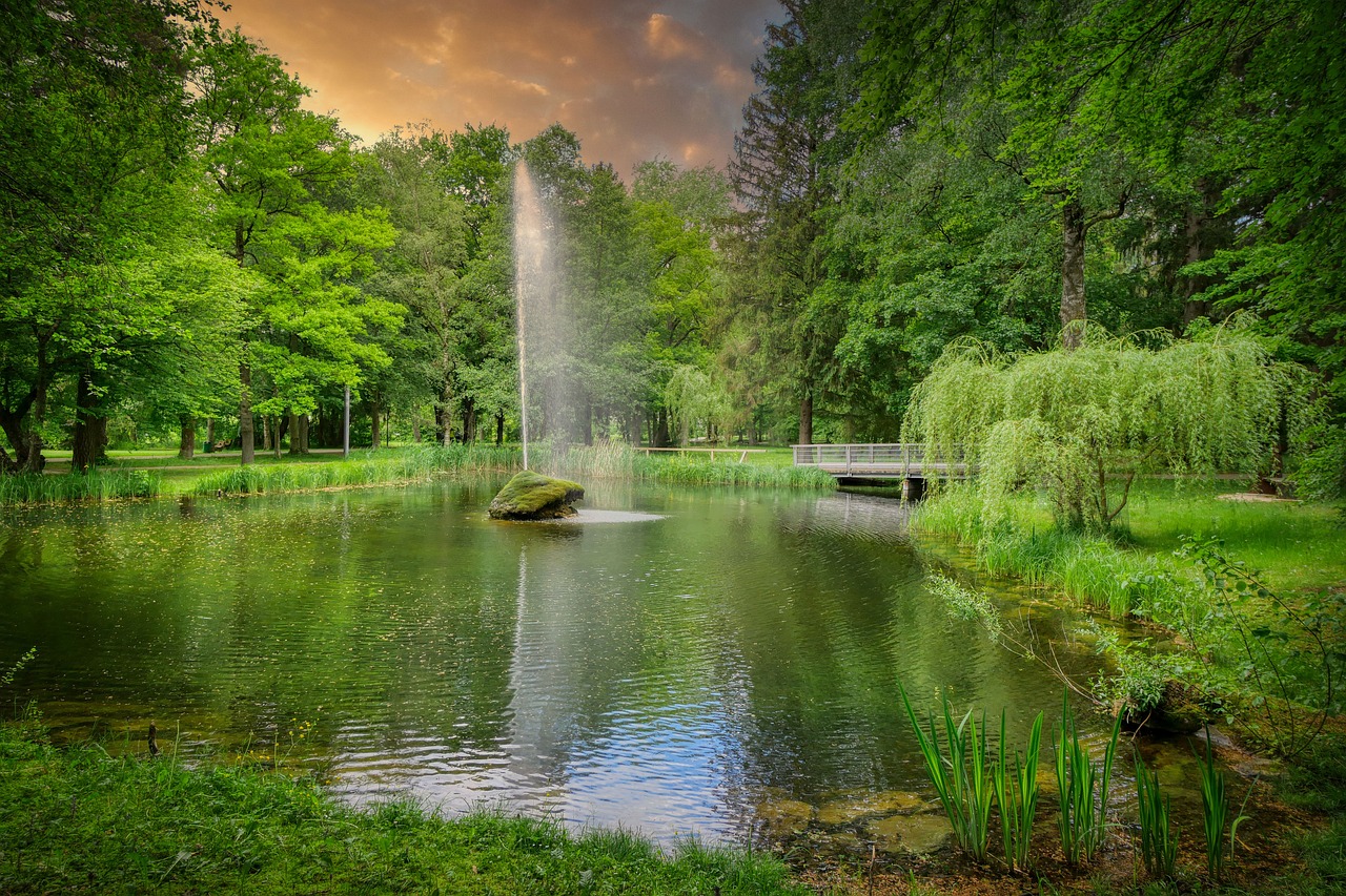 a pond with a fountain in the middle of it, a picture, by Cherryl Fountain, shutterstock, in gentle green dawn light, stock photo