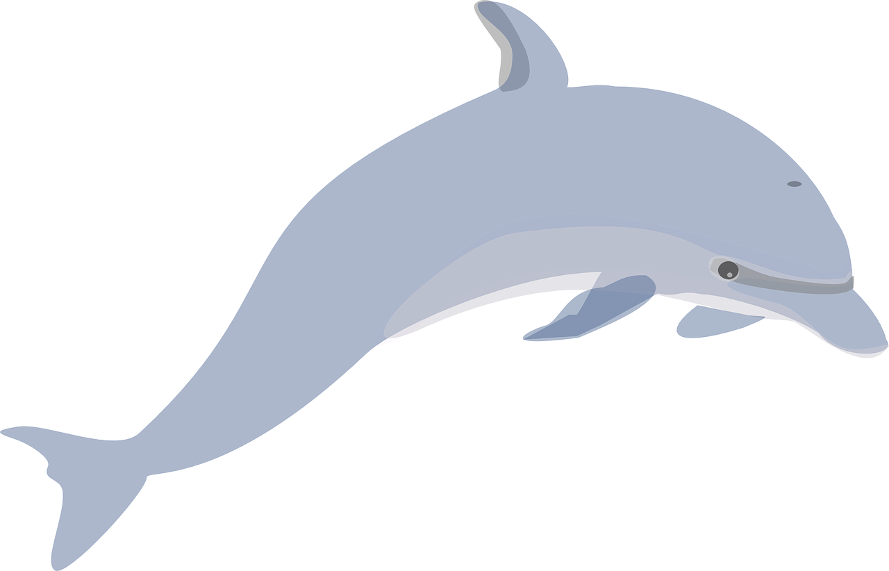 a dolphin jumping out of the water, an illustration of, hurufiyya, blue and gray colors, medium head to shoulder shot, animation, full image