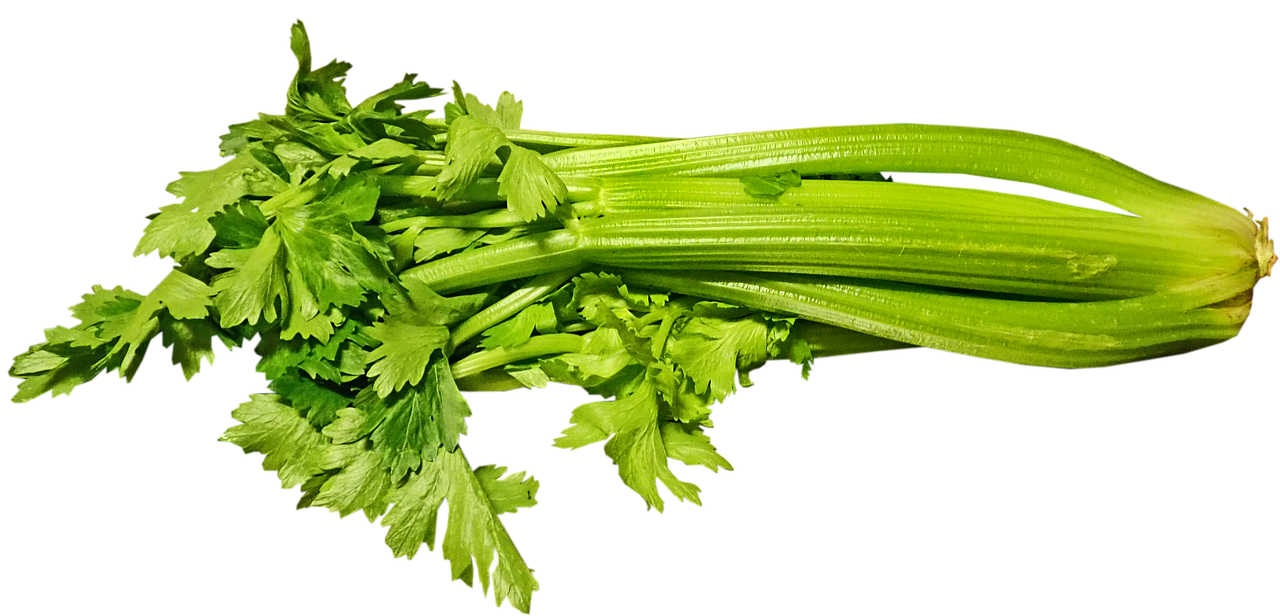 a bunch of celery sitting on top of a table, a digital rendering, pixabay, hurufiyya, on black background, clover, orthodox, high res photo