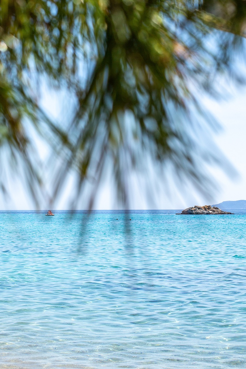 a man riding a surfboard on top of a sandy beach, a picture, by Michalis Oikonomou, fine art, the tree is on top of a calm sea, telephoto vacation picture, greek fantasy panorama, the photo was taken from a boat