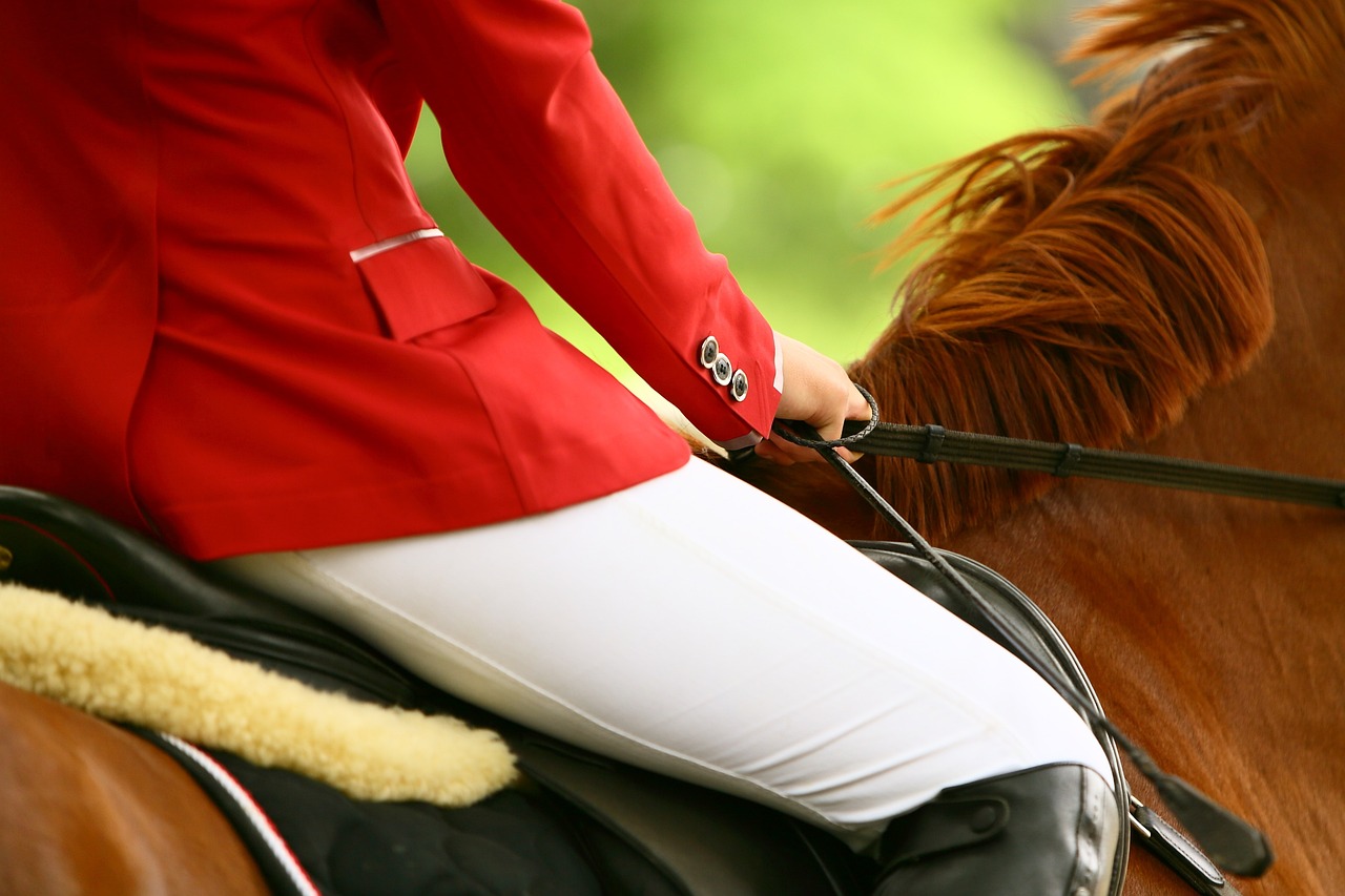 a woman riding on the back of a brown horse, shutterstock, fine details. red, red suit, wearing knee and elbow pads, very sharp photo