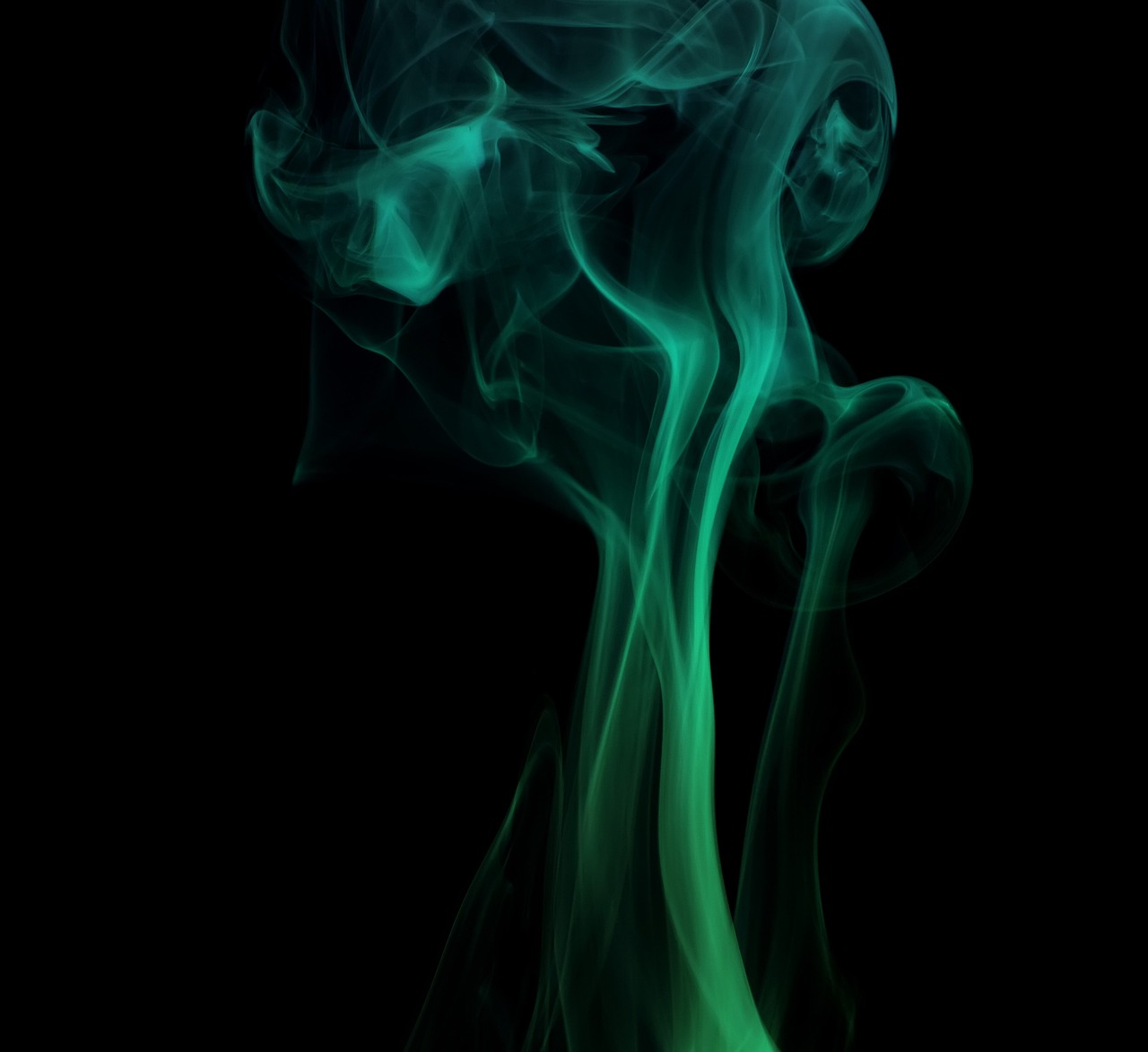 a close up of smoke on a black background, by Emma Andijewska, digital art, green bioluminescent chrometype, diffuse outline, 4k shot, taken with my nikon d 3